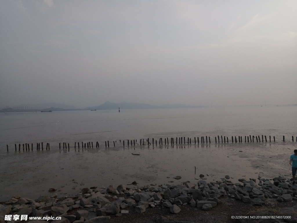 海边 大海 岩石 樵石 天空