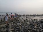 海边 大海 岩石 樵石 天空