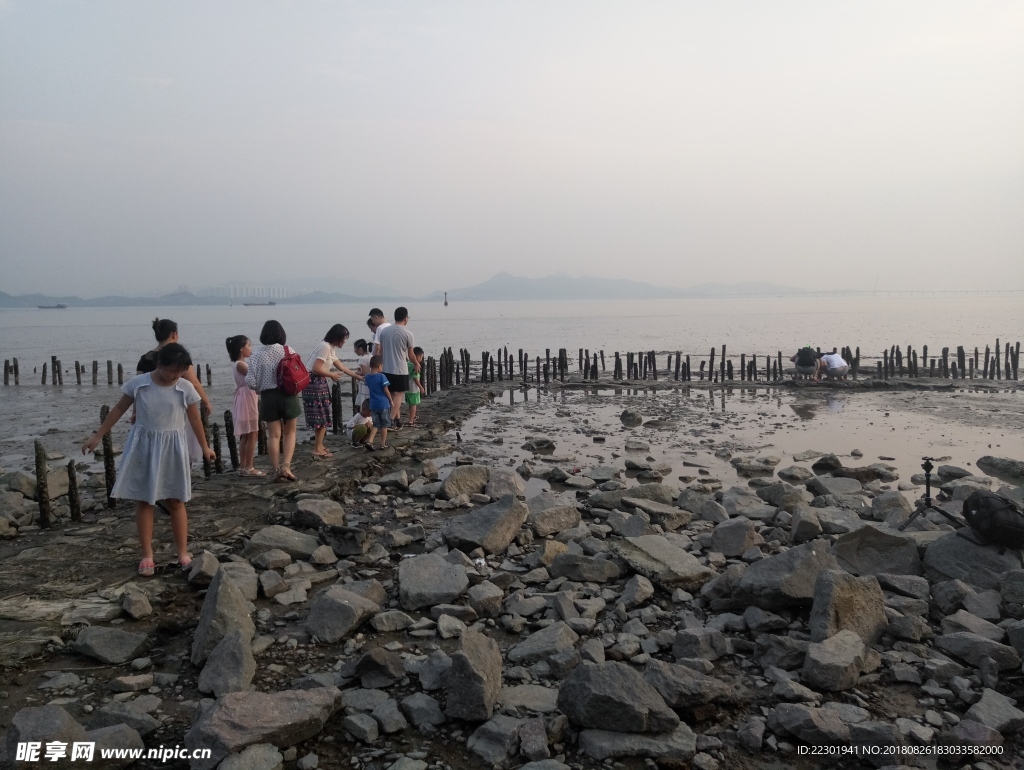 海边 大海 岩石 樵石 天空