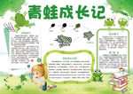 青蛙成长小报