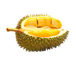 榴莲