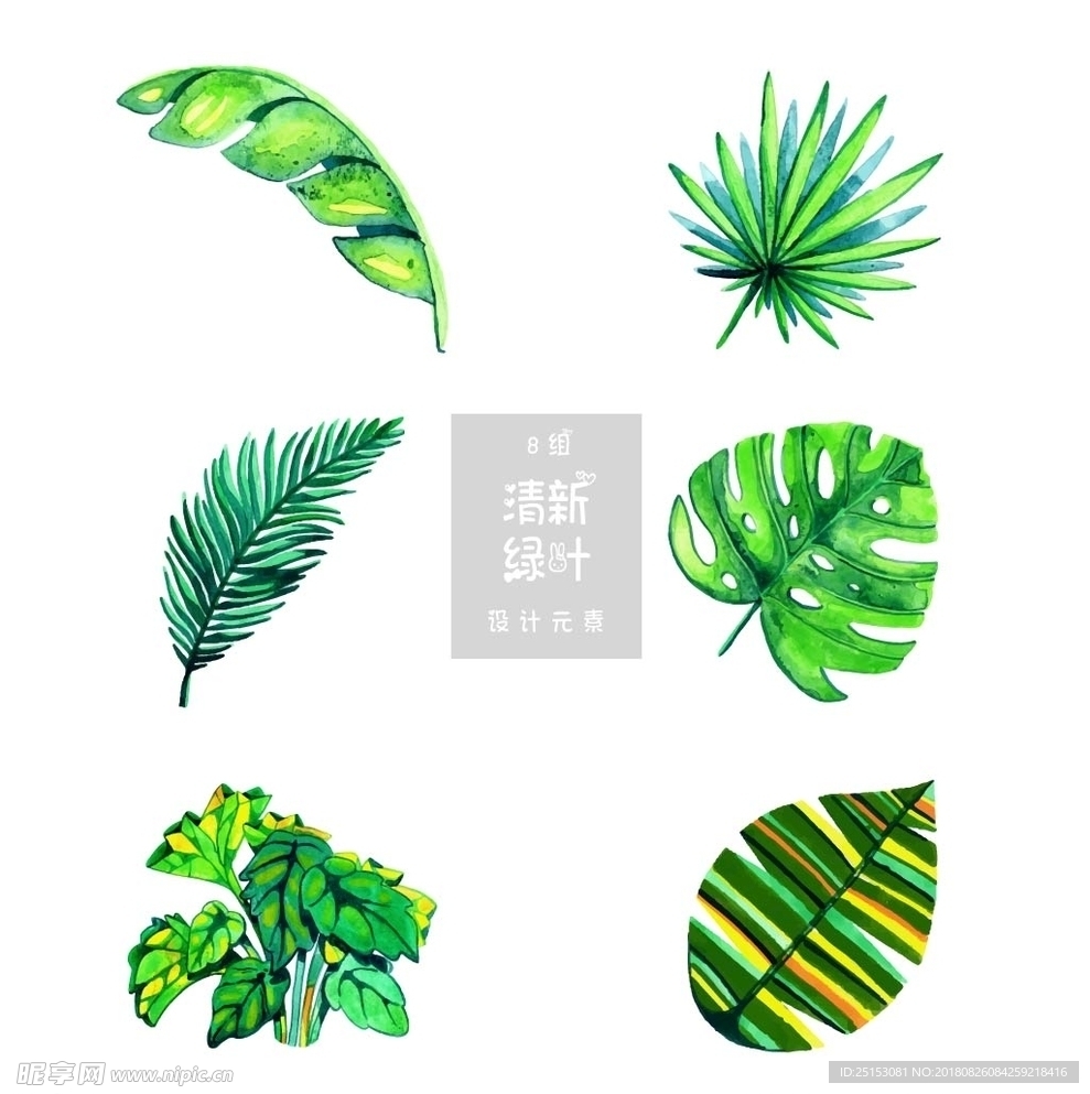 绿叶小清新