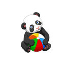 忠诚宠物狗狗