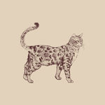 矢量可爱猫猫图片