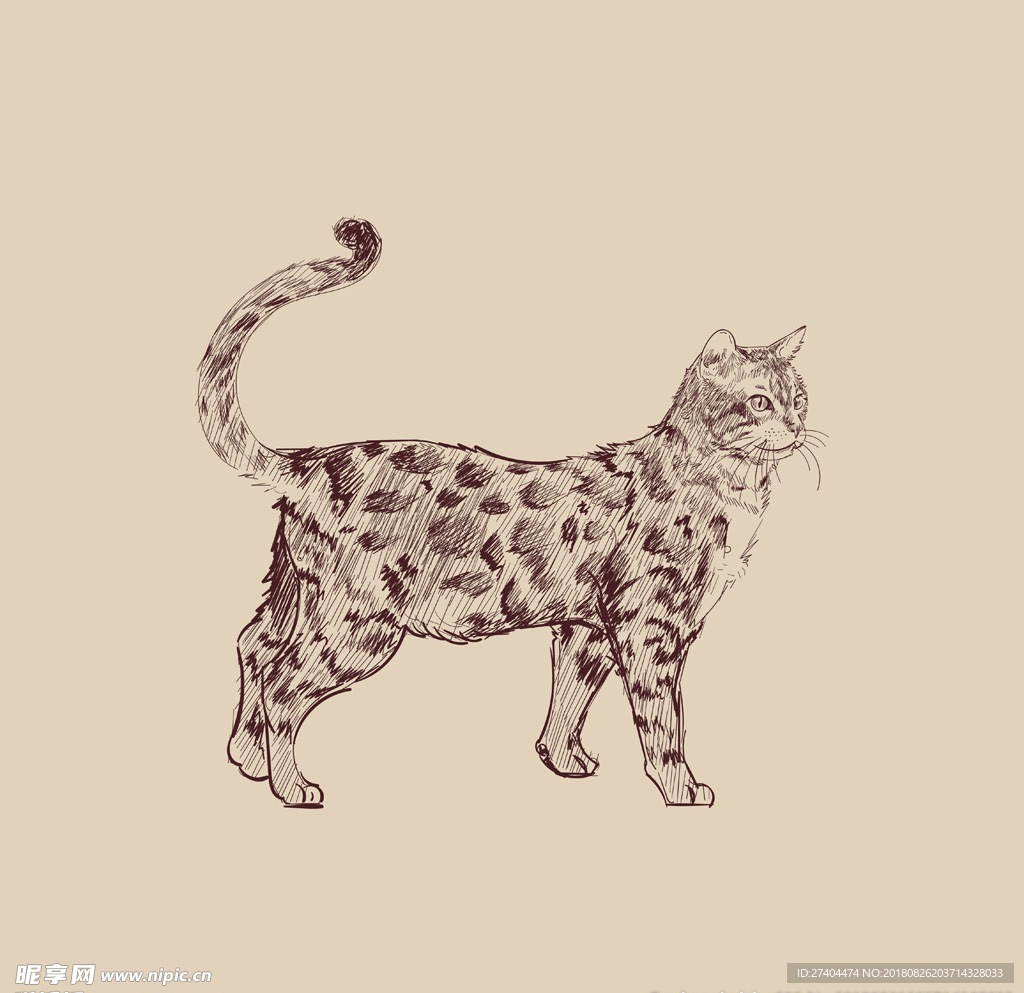 矢量可爱猫猫图片