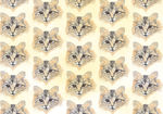 矢量可爱猫猫图片