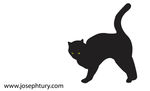 矢量可爱猫猫图片