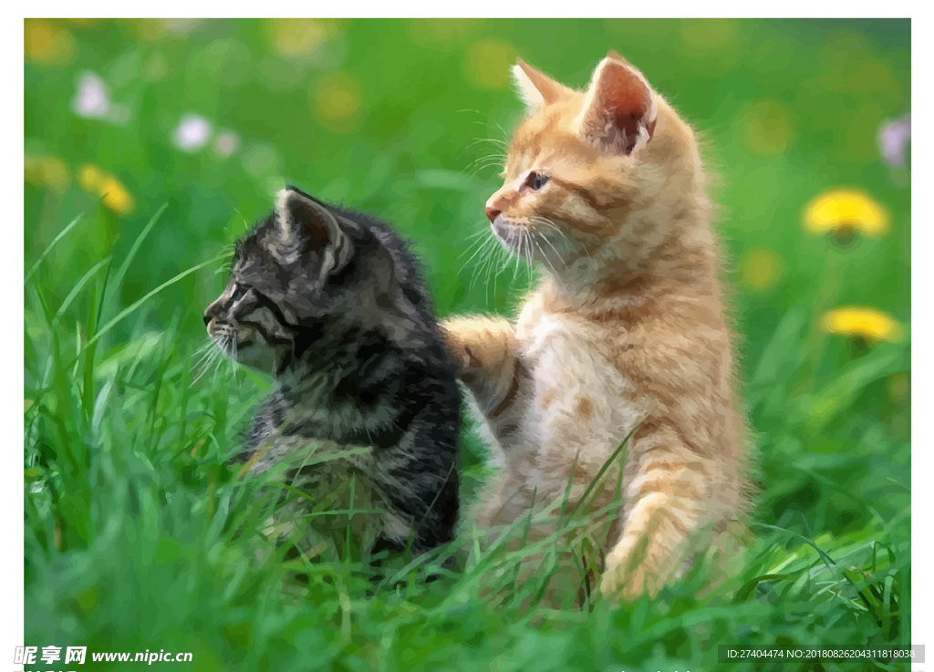 矢量可爱猫猫图片