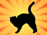 矢量可爱猫猫图片