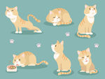 矢量可爱猫猫图片