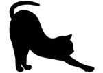 矢量可爱猫猫图片