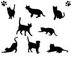 矢量可爱猫猫图片