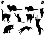 矢量可爱猫猫图片
