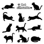 矢量可爱猫猫图片