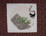 国画禅意小品 莲蓬