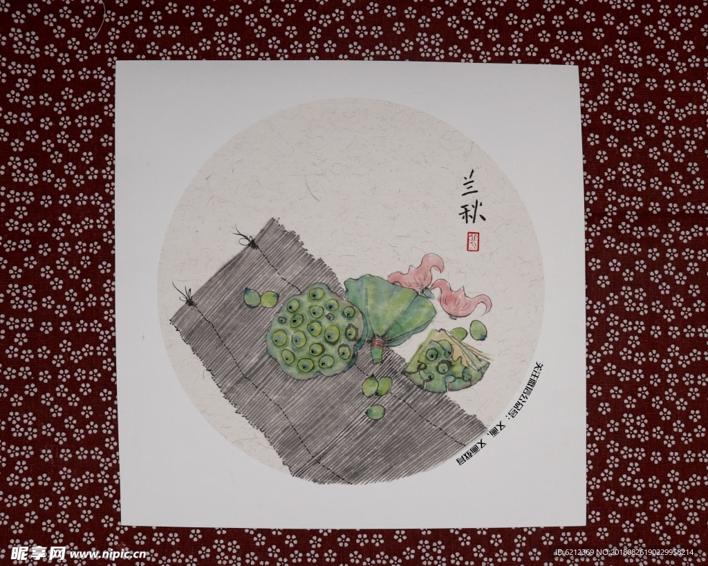 国画禅意小品 莲蓬