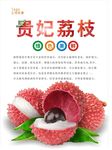 荔枝海报