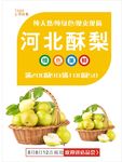 梨海报