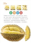 榴莲海报