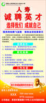 中国人寿 人寿保险 保险展架