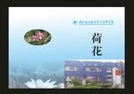 蓝色荷花校刊封面