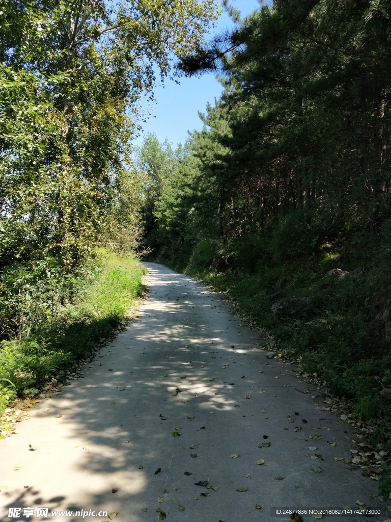 路