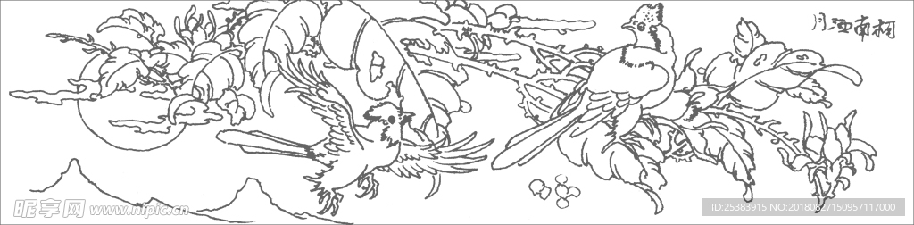 花鸟