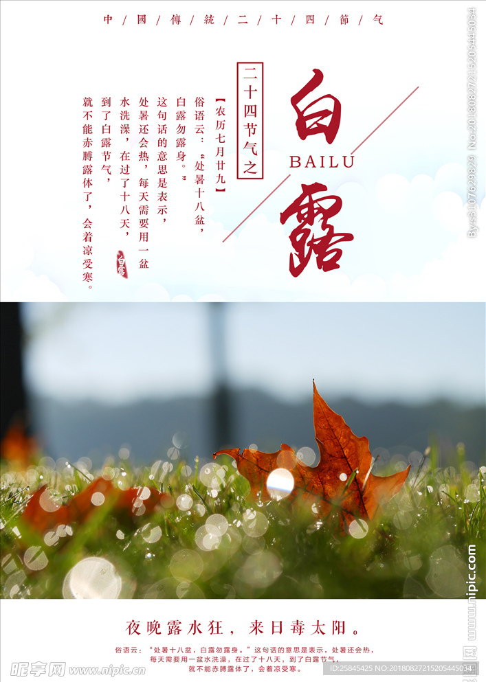 白露海报图片