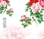 牡丹  鸟