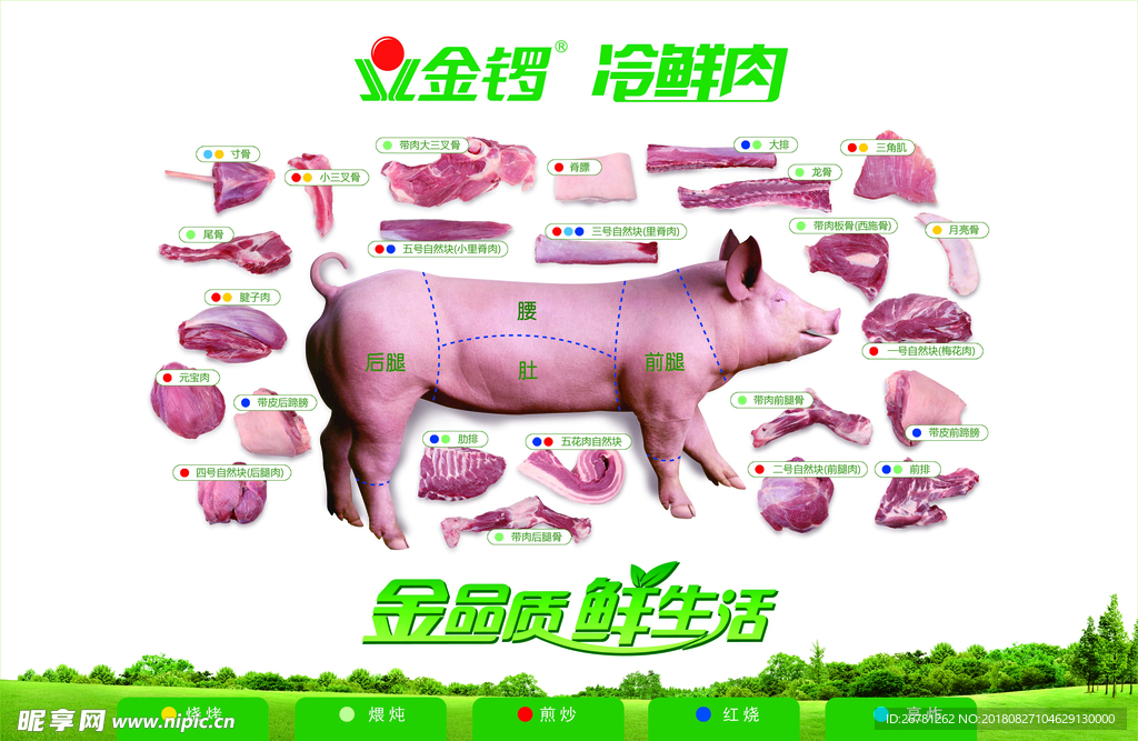 猪肉分割图