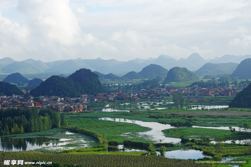 云南 文山 丘北 普者黑 湿地