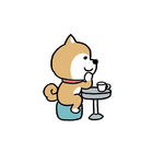 忠诚宠物狗狗