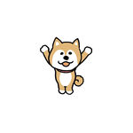 忠诚宠物狗狗