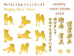 忠诚宠物狗狗