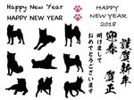 忠诚宠物狗狗
