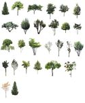园林植物分层彩图