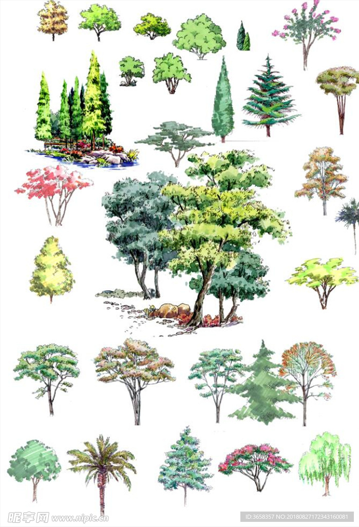 园林植物分层彩图
