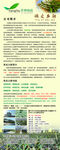 公司介绍易拉宝