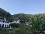 白墙黑瓦