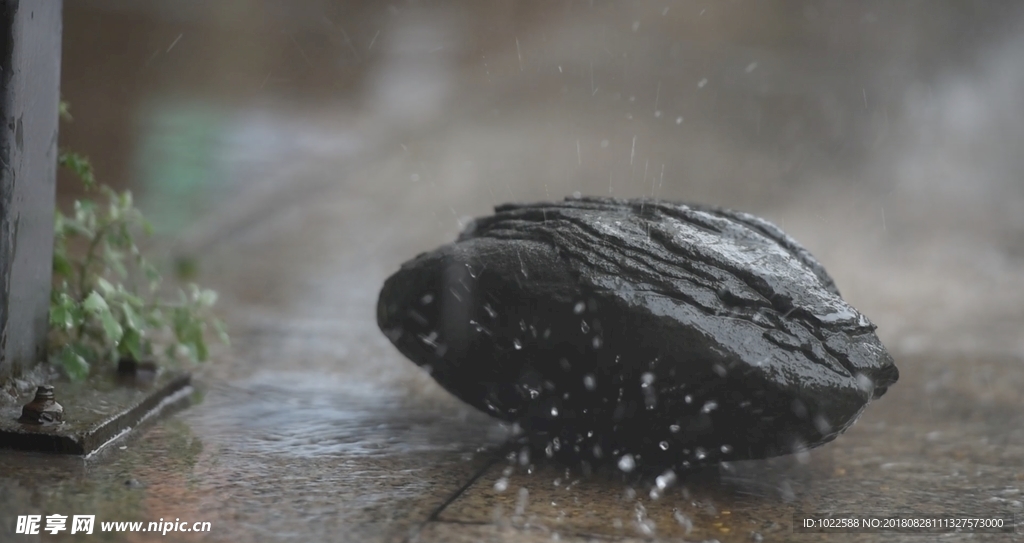 雨中的石头