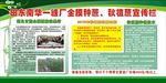 一糖厂种蔗技术宣传栏