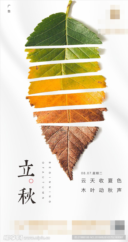 立秋