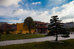佑民寺