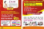 美容宣传单 减肥宣传单 月嫂