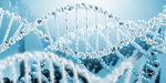 基因 DNA背景图