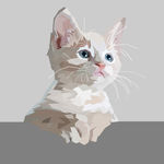 猫