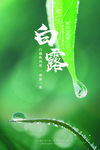 二十四节气白露
