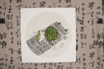 国画禅意小品
