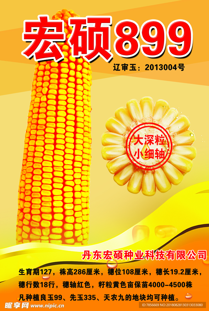 玉米海报