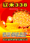 玉米海报